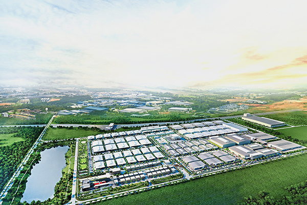 Qingdao BrightForce Innovations Co.,Ltd